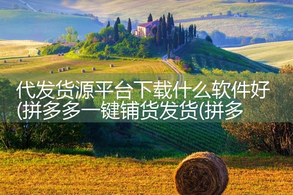 代发货源平台下载什么软件好