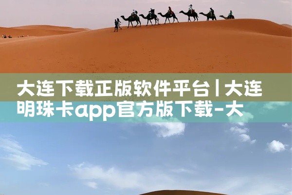 大连下载正版软件平台