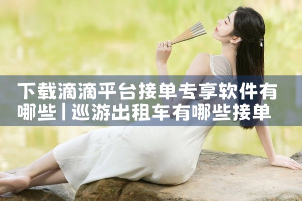 下载滴滴平台接单专享软件有哪些