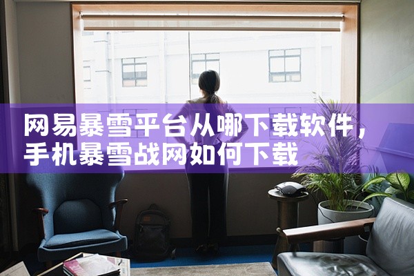 网易暴雪平台从哪下载软件